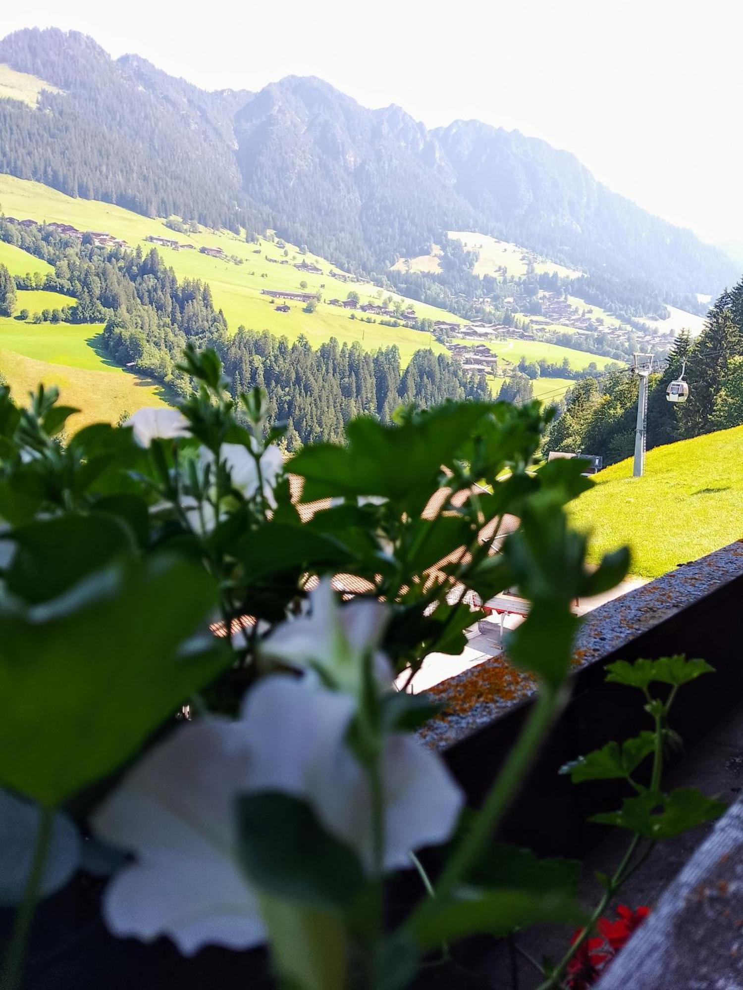Appartements Kolberhof อัลพ์บาค ห้อง รูปภาพ